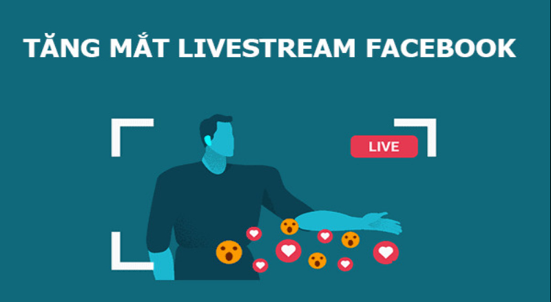 mắt livestream là gì mắt livestream là gì