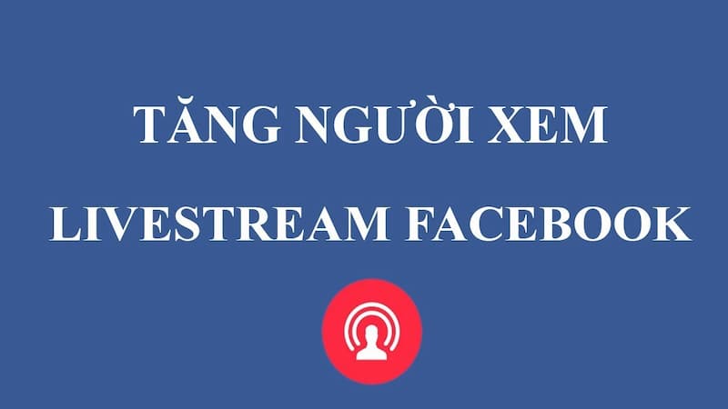 tăng mắt livestream uy tín tăng mắt livestream uy tín