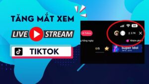 tăng mắt Livestream TikTok free