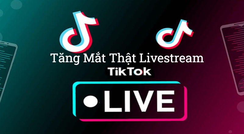 tăng mắt thật livestream Tik Tok 